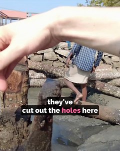 6.6K views · 359 reactions | How To Build A Boat Jetty  | PilgArt Explores | Facebook