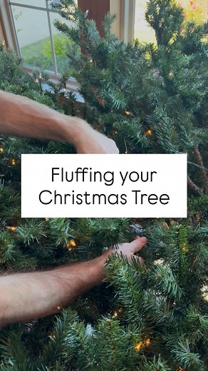 Fluffing your Christmas Tree 🎄 | Designs by Dylan