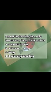 Notes: Characteristics unique to insects among invertebrates: 1. Three pairs of jointed legs (hexapody) 2. Segmented body (tagmata: head, thorax, abdomen) 3. Exoskeleton (chitin-based cuticle) 4. Ventral nervous system Other options: a) Segmented body: Found in annelids (worms), arthropods (insects, crustaceans, arachnids). b) Antennae: Present in some arthropods (insects, crustaceans), but not exclusive. c) Wings: Exclusive to insects, but not all insects have wings (e.g., apterygota). Insect c