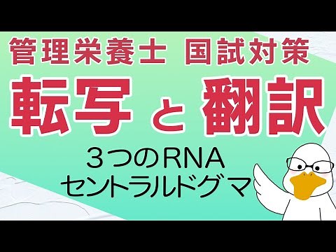 単発解説 5-2. 「生化学 DNAとRNAについて② セントラルドグマ」【国家試験対策】