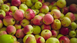 66 reactions | Raise a glass to Memorial Day Weekend in Wenatchee! Experience the essence of the Apple Capital with handcrafted cider and discover why Wenatchee is a must-visit destination. Plan your escape at visitwenatchee.org! | Visit Wenatchee Valley | Facebook