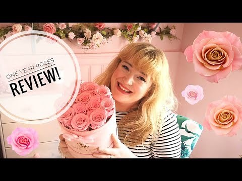 One Year Roses "Infinity Roses" Review - Instagram roses in a box