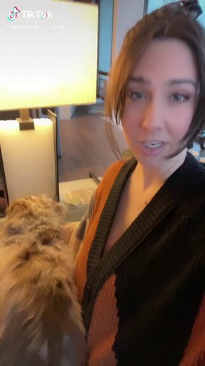 Understanding the Meaning of a Lap Dog