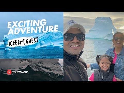 Canada Road Trip : NEWFOUNDLAND || TWILLINGATE || ICEBERG CAPITAL || BOAT TOUR