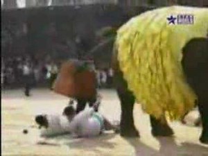 Elephant poops on tourists