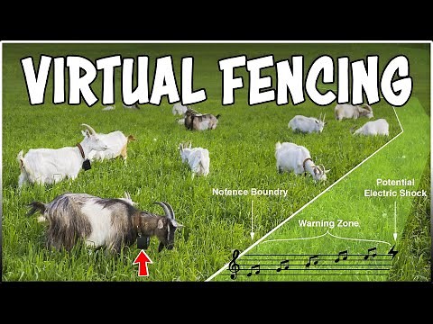 NoFence - Virtual Fencing System | Invisible Fence for Grazing Animals