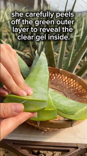 Aloevera#skincare