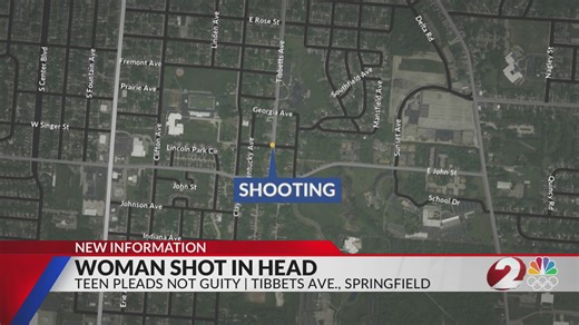 Woman shot in head in Springfield; teen pleads not guilty