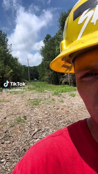 Tree Guys vs Power Linemen: Who Does It Better?