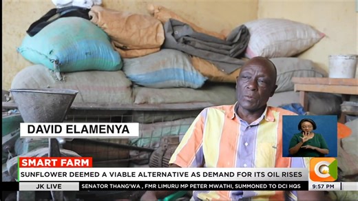 2K views · 49 reactions | Smart Farm Focus on sunflower farming value addition Drought-resistant crop has opened opportunities for farmers Sunflower deemed a viable alternative as demand for its oil rises #JKLive Olive Burrows | Citizen TV Kenya | Facebook