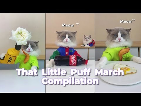 That Little Puff Compilation | March Magic Collection🪄