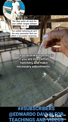 Personal finance project on fish farming for beginning #fish #farming #wefarm #farmcash #learn