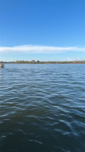 104 reactions · 4 comments | Sunset, dolphins, and a boat full of Sanibel Moorings smiles  Last night’s private charter for Owners Weekend was all about salty breezes, laughing with friends, and watching the island light up from the water. ️✨ . . #SanibelMoorings #PrivateCharter #CharterBoat #Sanibel #Island #Lighthouse #Sunset #Dolphin #Wildlife #Cruise #AIPCruises #SWFL | Adventures in Paradise Cruises & Crew | Facebook
