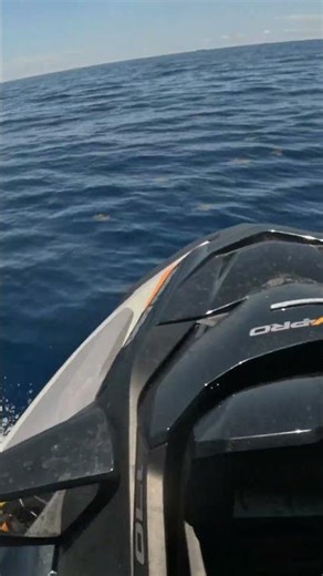 I Should Have Stayed on the Bite...