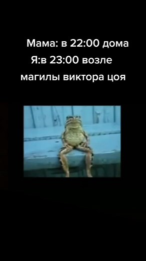 . (@alexandershelest01sa)’s videos with Peepeepoopoo Check TikTok - BeatsBoomingBang