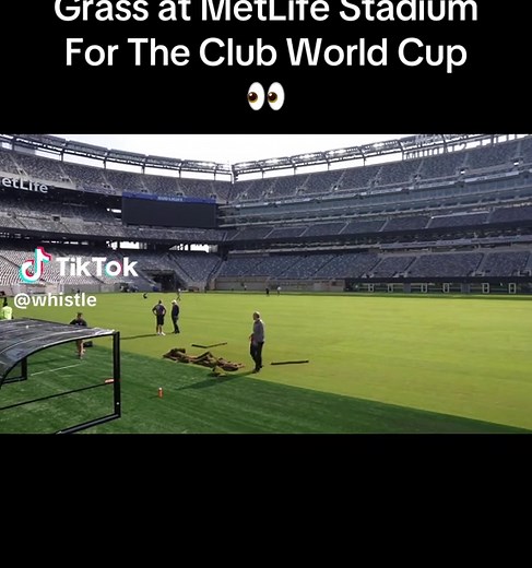 Grass at MetLife Stadium for the Club World Cup