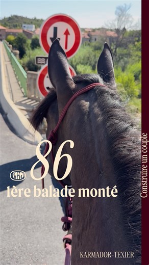 1ere sortie en extérieur à cheval, c’est à monté, pour Karma. ✨ Confiance, sécurité, plaisir et liberté ! À nous les grands espaces ! Ça vaut le coup de prendre le temps de construire… pour pouvoir profiter de l’extérieur en toute sérénité ensemble. #karmador #texier #equitation #engagée #balade #exterieur | Laure Karmador