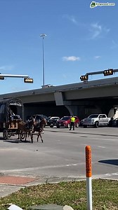 183K views · 5K reactions | Video: The Trail Riders came through Kingwood today around 11:20am. Watch the video of them at the intersection of Kingwood Drive and US 59! | Kingwood .com | Facebook