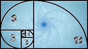 Fibonacci, Spiral, Geometry. Free Stock Video