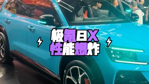 国产车真是越来约好了，没想到性能这么爆炸的8X，正式上市之后居然这么有诚意，315的胎宽，各种碳纤维的点缀，2秒极的零百加速，太炸裂了！