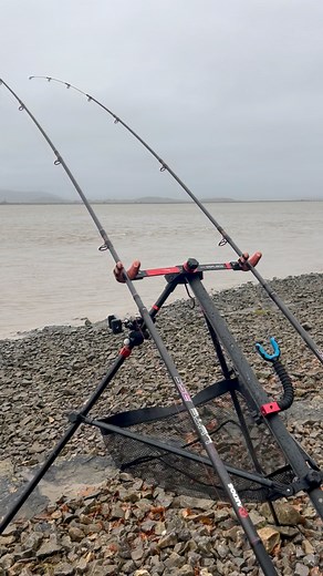 3.8K views · 44 reactions | AWESOME AIRLYTE 朗❤️ Matty talks about...