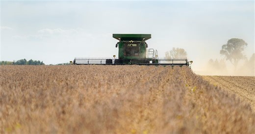 Farm bankruptcies surging amid U.S.-China trade war