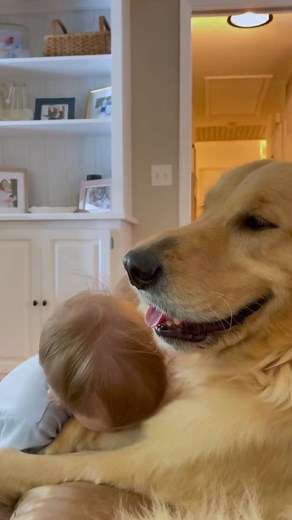 Dog: Cheering up baby? That’s my signature tick!😎#dog #funnyvideos #funny #fyp #dogsoftiktok
