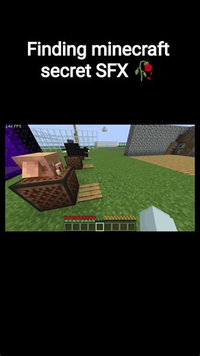 Finding minecraft secret SFX 🥀
