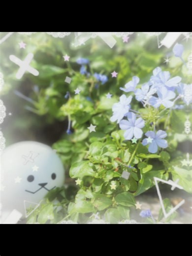 Cute Edits of Peep: A Fun Compilation