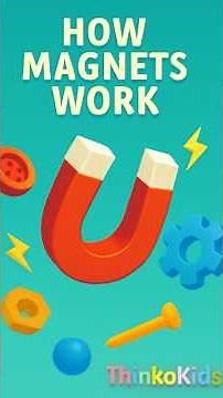 Magnetic Fun! 🧲 See How Magnets Work | ThinkoKids