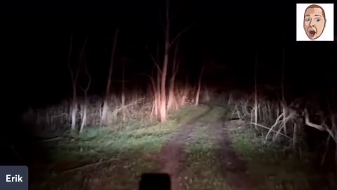 Night adventure in the woods: UTV ride, channel updates & Griff the dog!