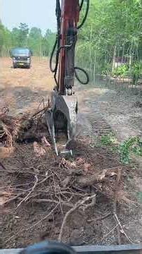 Massive Tree Stump Removal With Heavy Excavator Power 🌲🔥#excavator #shorts