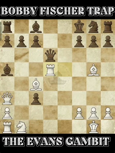 320K views · 2.4K reactions | Bobby Fischer Trap: The Evans Gambit ♟️ #chessmaster | Chess Master | Facebook
