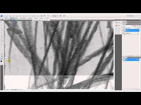 Scanning 11x17 on A4 Scanner