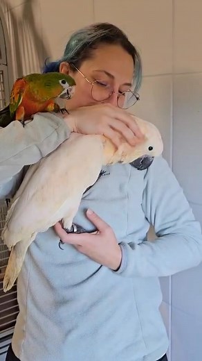 190K views · 4.9K reactions | Souvent, cette question m’est posée :...