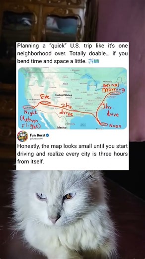 Funny Little Road Trip Plan Moment