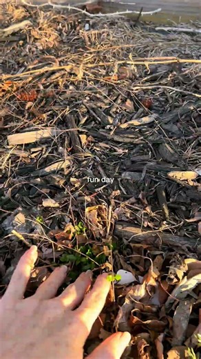 Creating new flower beds!