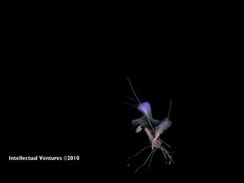 Photonic Fence Anti-Mosquito Laser System