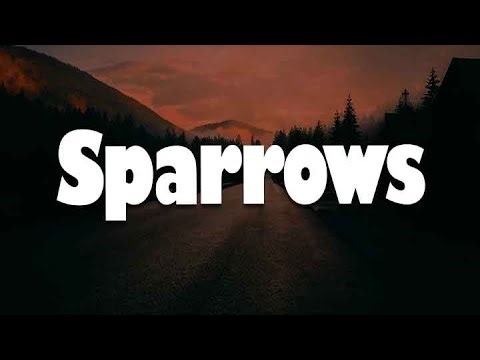 Jason Gray - Sparrows (Lyrics) | Mix Worship Playlist