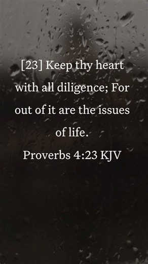 BIBLE AUDIO PROVERBS 4:23 || God's Word - Bible Stories #Shorts