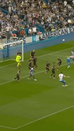 EPL TOP 5 SAVES #football #epl #ucl #laliga