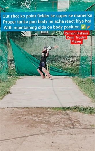 how to play upper cut in cricket|upper cut kaise khele|#ramanbishnoi #battingtips #cricket #uppercut