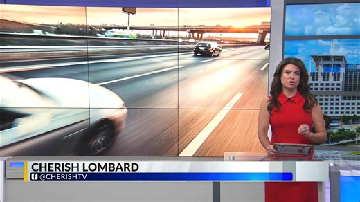 Florida's new license plate law: What drivers need to know