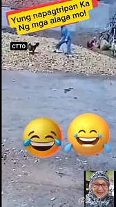 Pasaway na mga alaga! #highlightseveryone #cttoOfvideonotmine #nocopyrightinfringementintended | Ruby Ruby