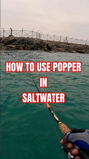 How to use popper in saltwater🔥🔥// Full video link in description 🐟🎣#shortsfeed #fishing #