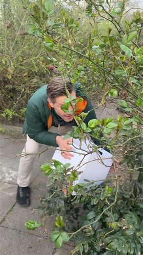 Incredible what we found!