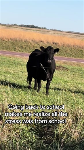 Back to School Reflections on Stress and Farming Life