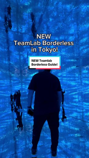 Discover the Mesmerizing World of TeamLab Borderless | Unforgettable Art Experience
