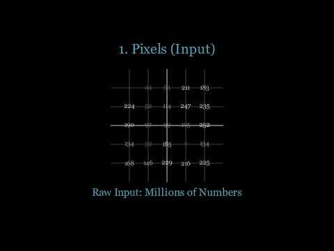 How AI Recognizes Images (Explained Visually)