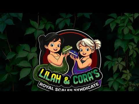 Ball Python & Snake Q&A